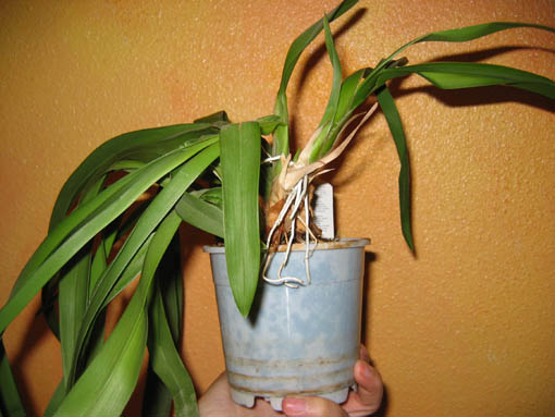 06-05-14%20040.jpg