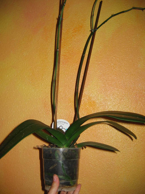 06-05-14%20042.jpg