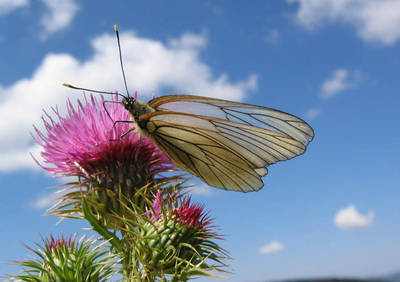 06-06-12_035.jpg