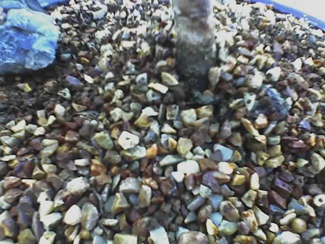 06-08-06_0831.jpg