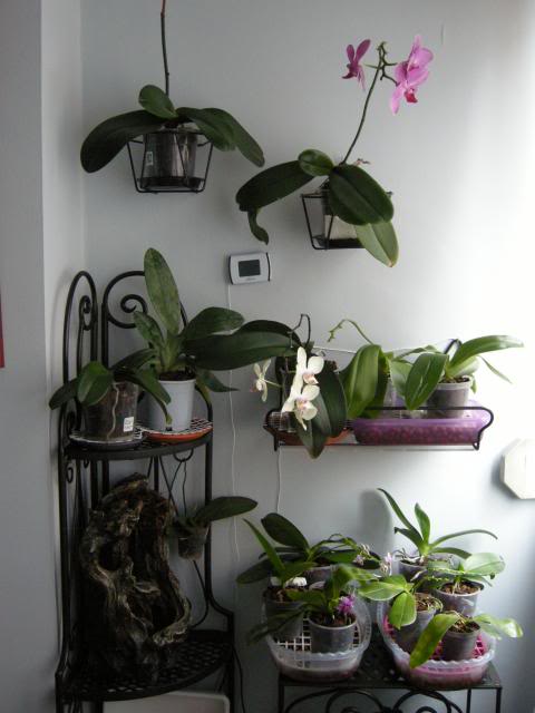 06-09-2013084_zps7d1855d3.jpg