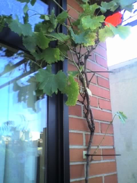 06-10-06_1857.jpg