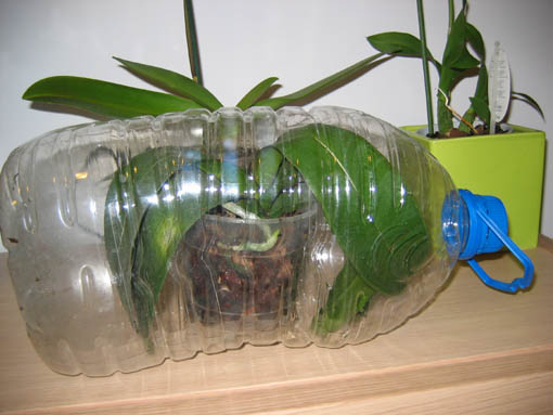 06-11-09_090.jpg