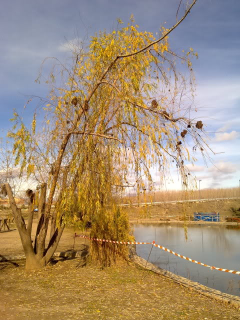 06012011902.jpg