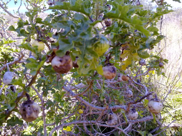 060220111068.jpg