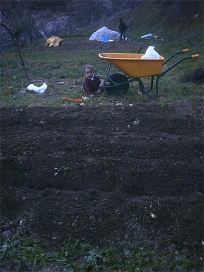 0603-patatas-1.jpg