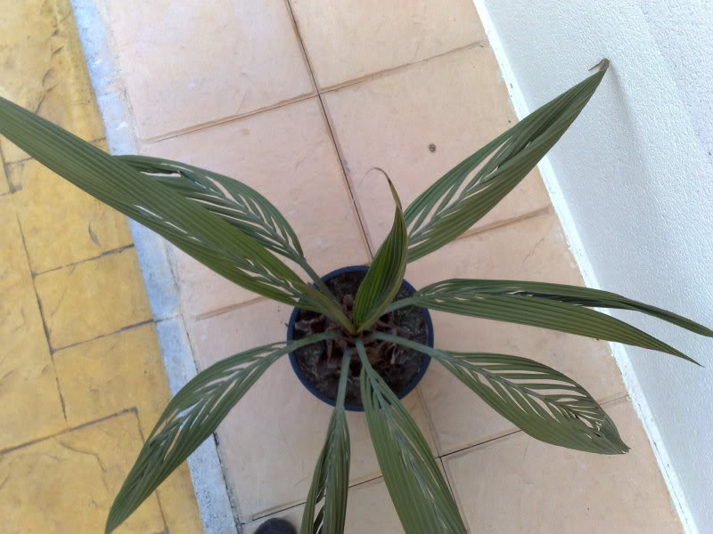 06042009015.jpg