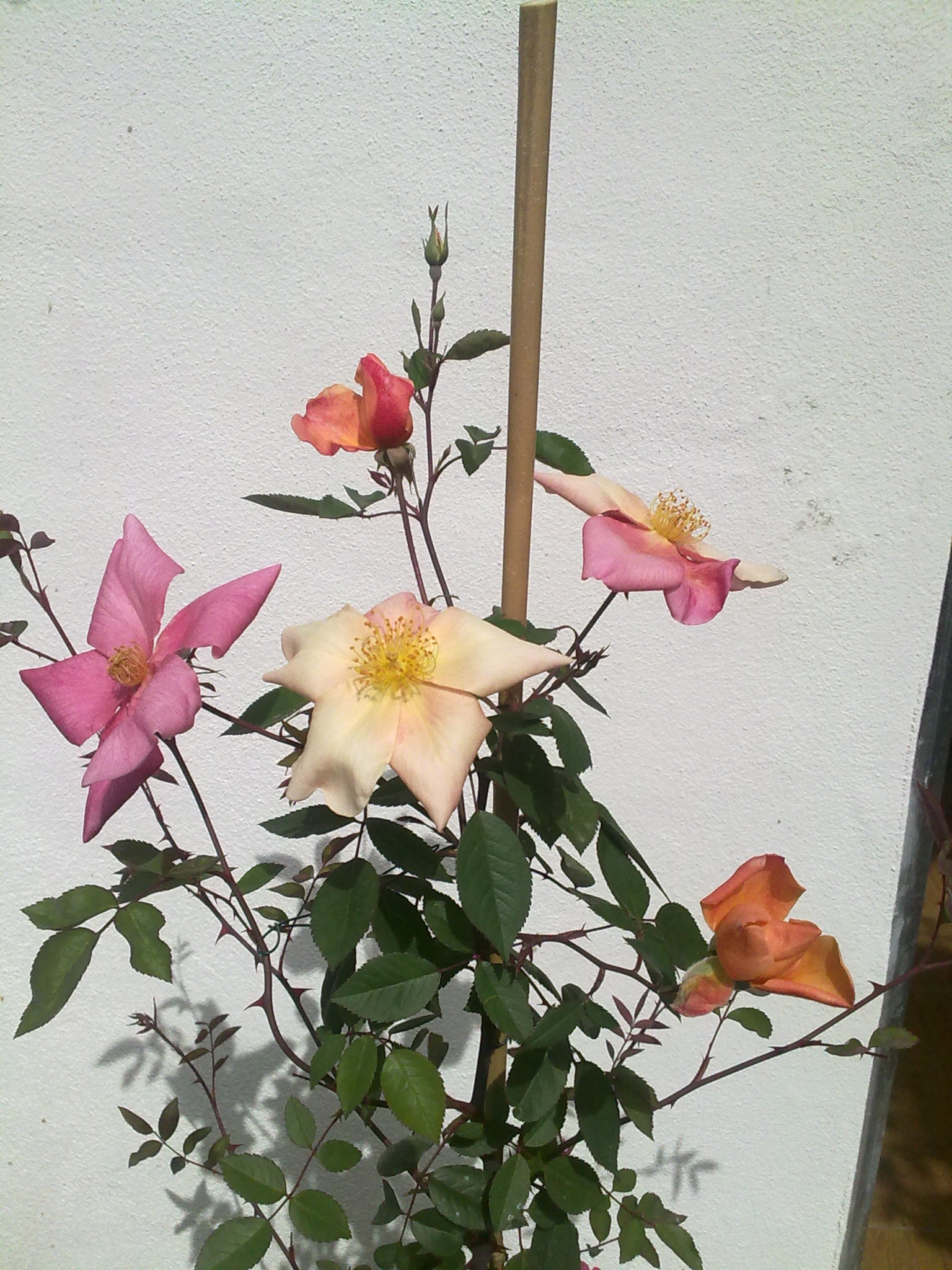 060420111341.jpg