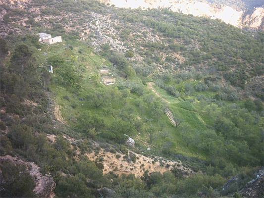 0605-1-de-mayo-013.jpg