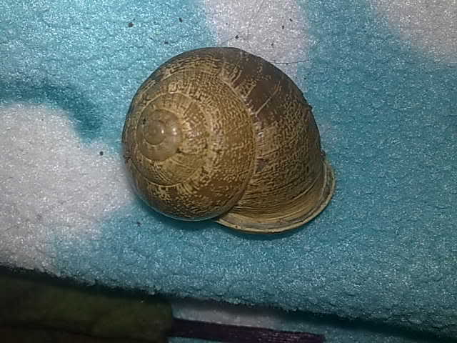 06052010200.jpg