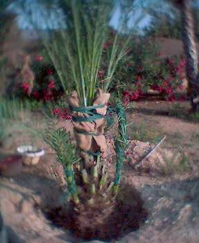 0605_191527.jpg