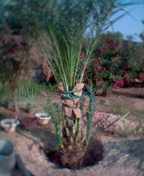0605_191549.jpg