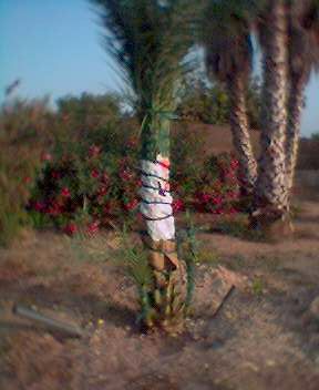 0605_195823.jpg