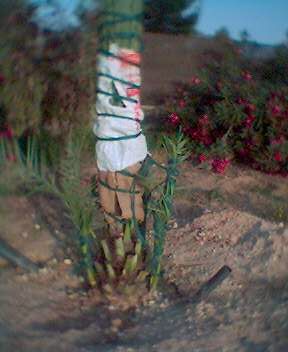 0605_195831.jpg