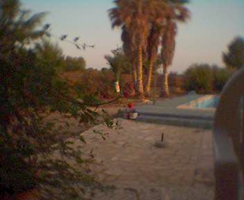 0605_203408.jpg