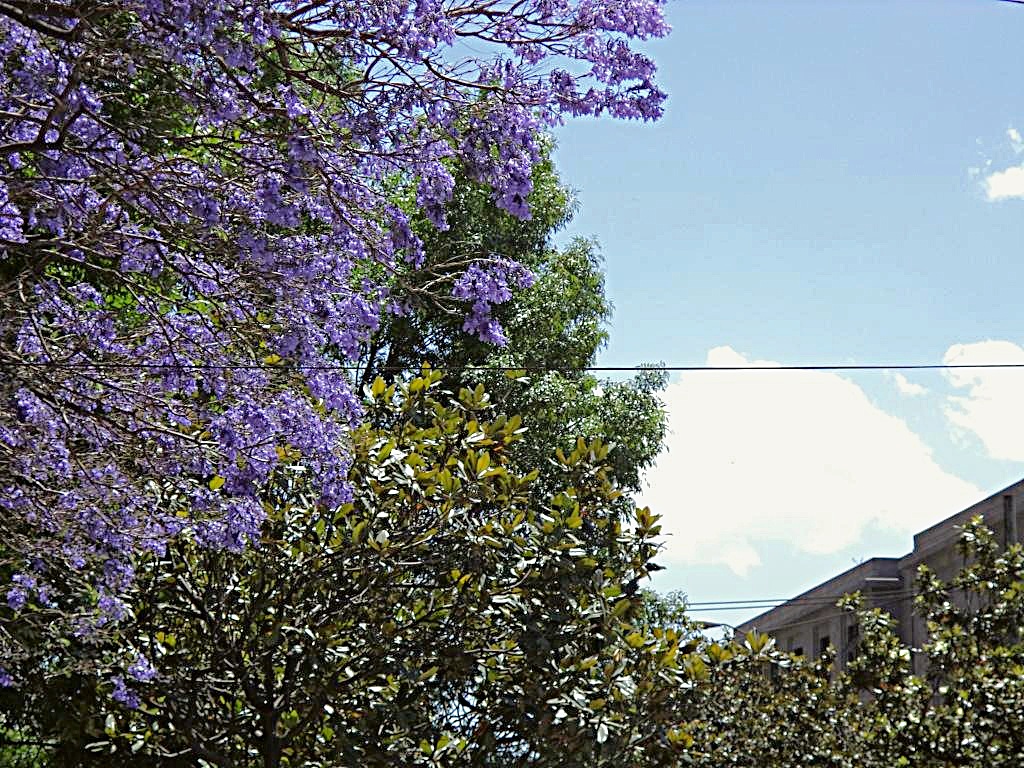 06061DB5-66B4-41CD-838A-663BCEBEC50B_zpsbfeeeiek.jpg