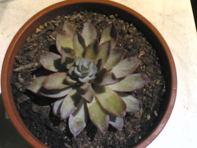 06062009.jpg