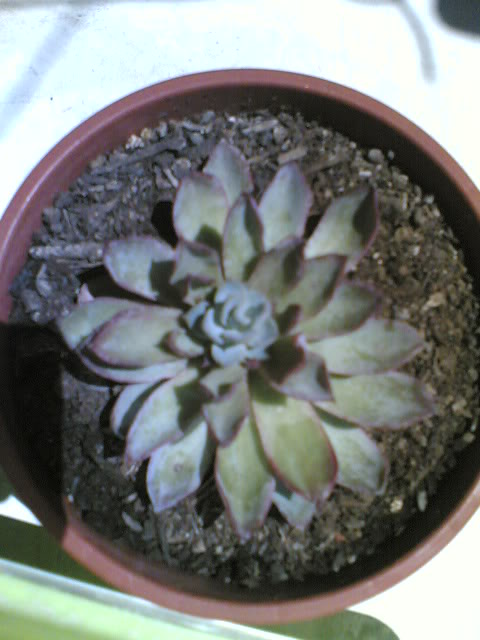 06062009001.jpg