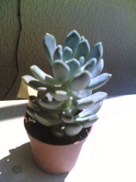 06062009002.jpg