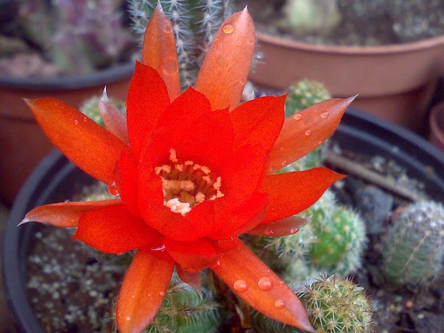 0606201212215.jpg