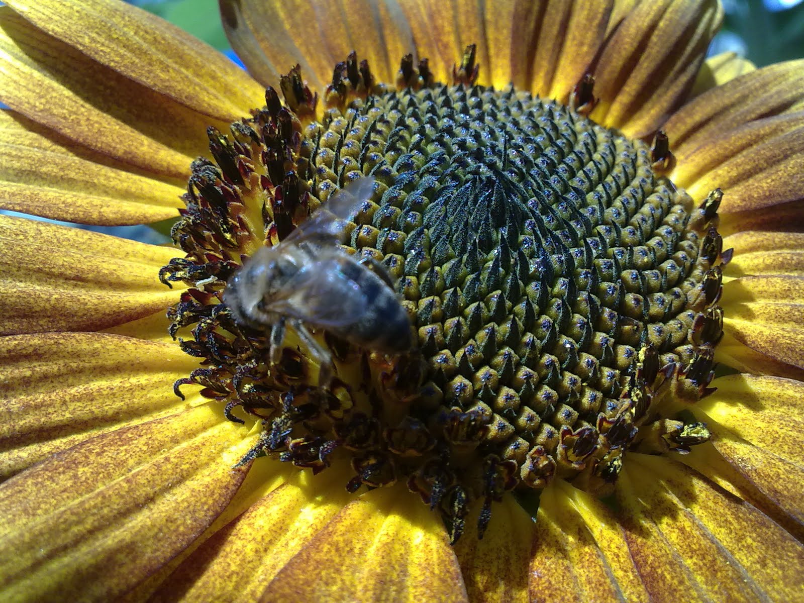 060820102420.jpg