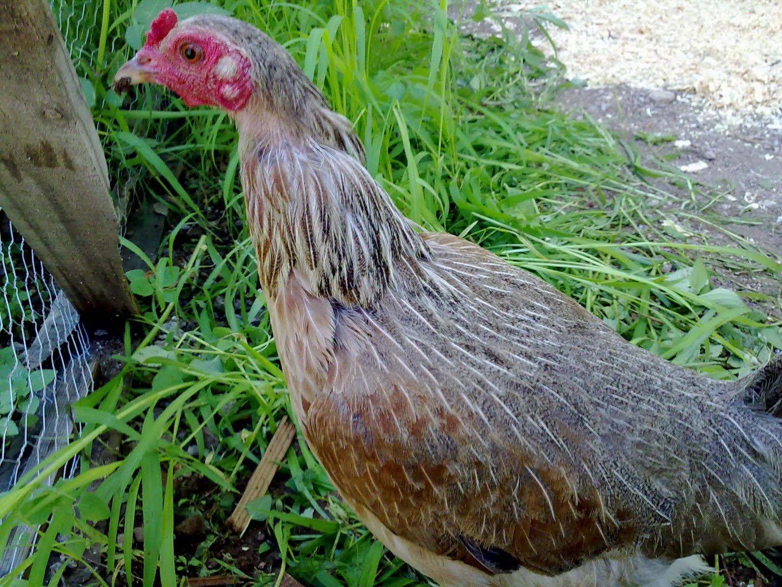 060820102436.jpg