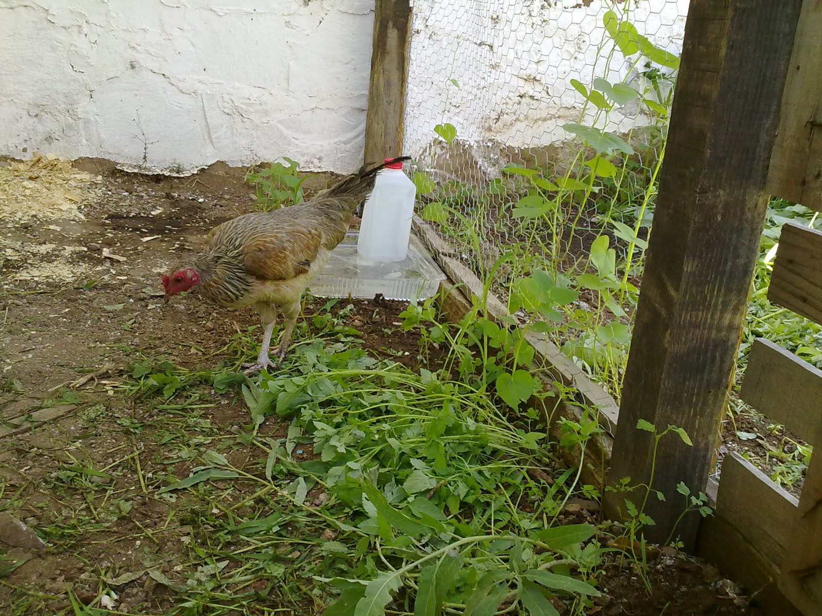 060820102437.jpg