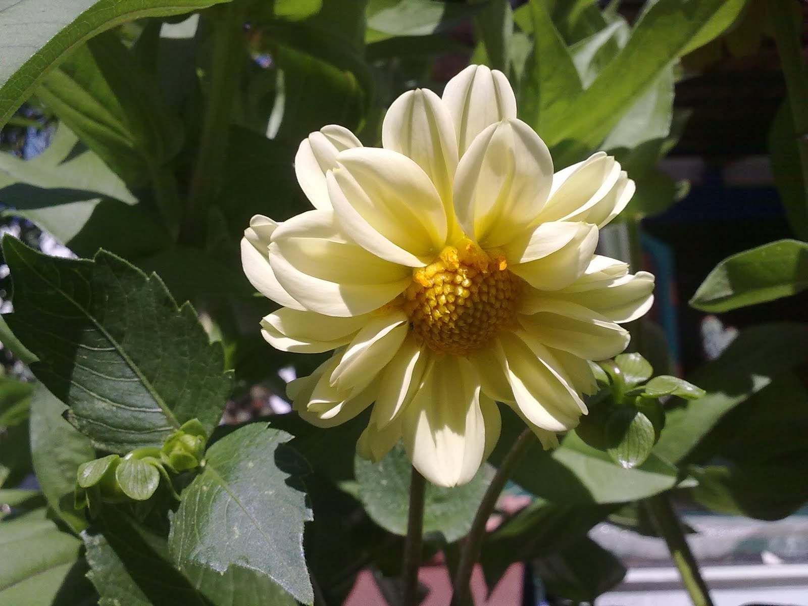 060820102442.jpg