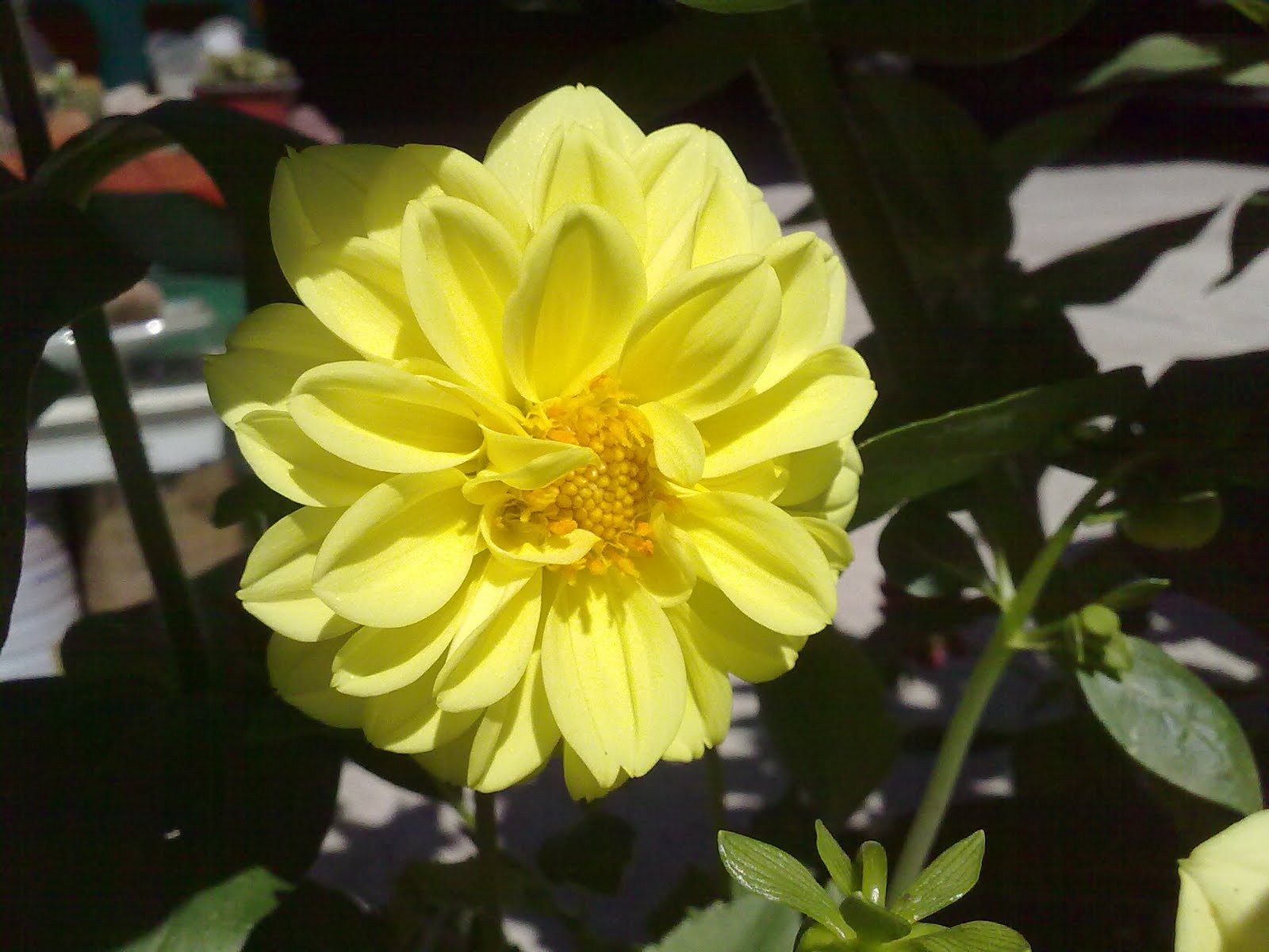 060820102443.jpg