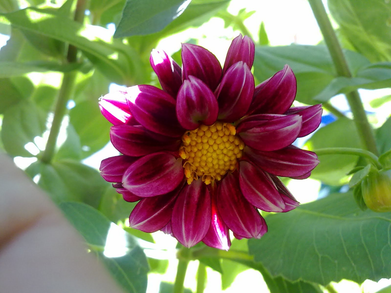 060820102444.jpg