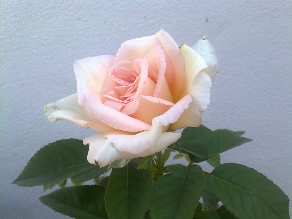 06082010749.jpg