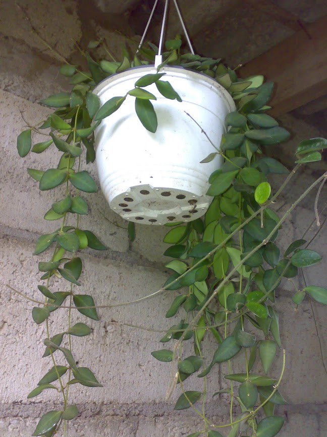 0608201213526.jpg