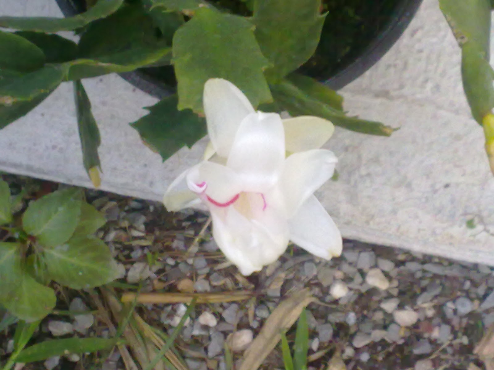 06122011186.jpg