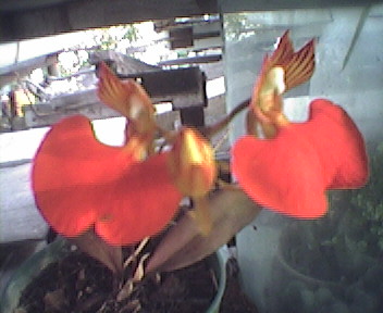 061230_171114.jpg