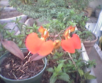 061230_171957.jpg