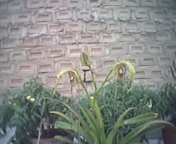 061230_173802.jpg