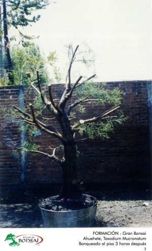 06_ahue_02.jpg