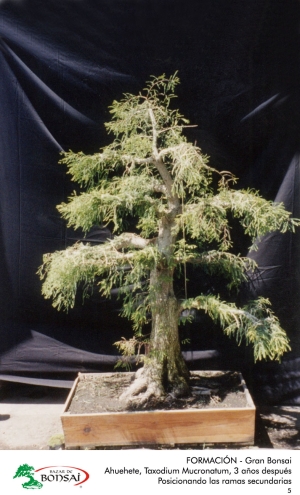 06_ahue_05.jpg