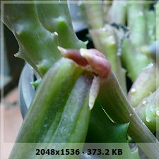 06a1cdce33686fa6c0b0ec8c04f2d4f8o.jpg