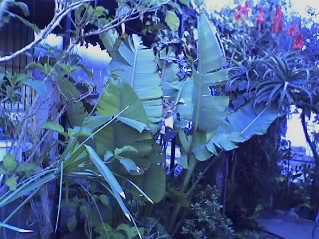 07-01-07_1731.jpg
