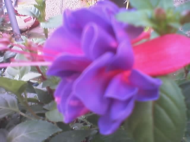 07-10-06_1910.jpg