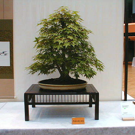 07.jpg