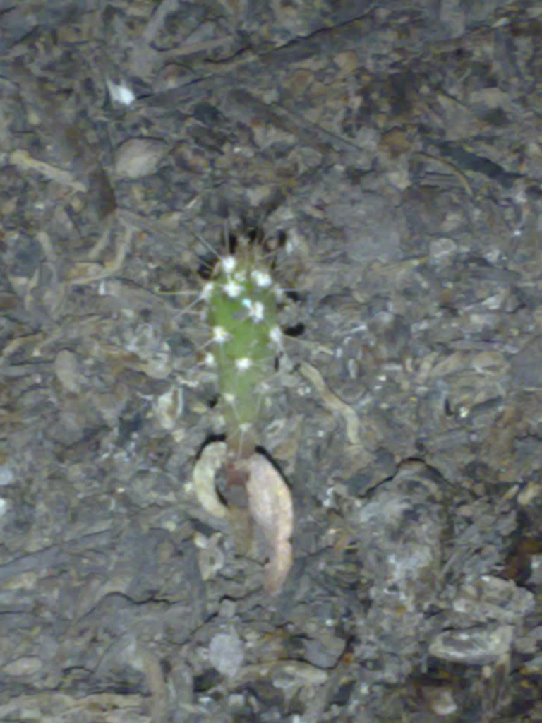 070220101354.jpg