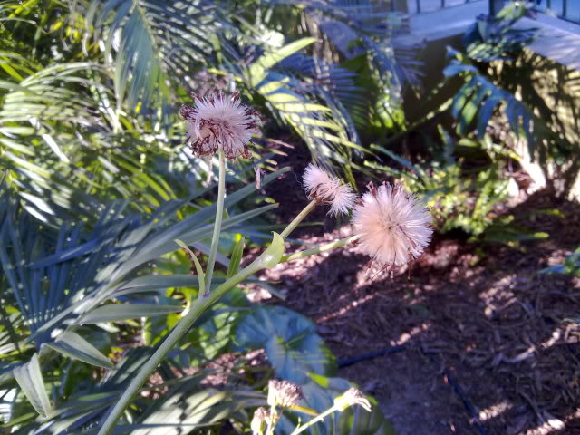 070220111132.jpg