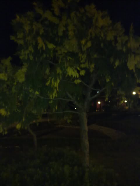 070220111136.jpg