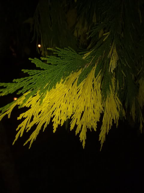 070220111137.jpg