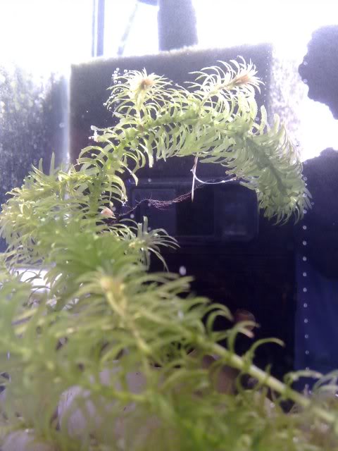 070320111320.jpg