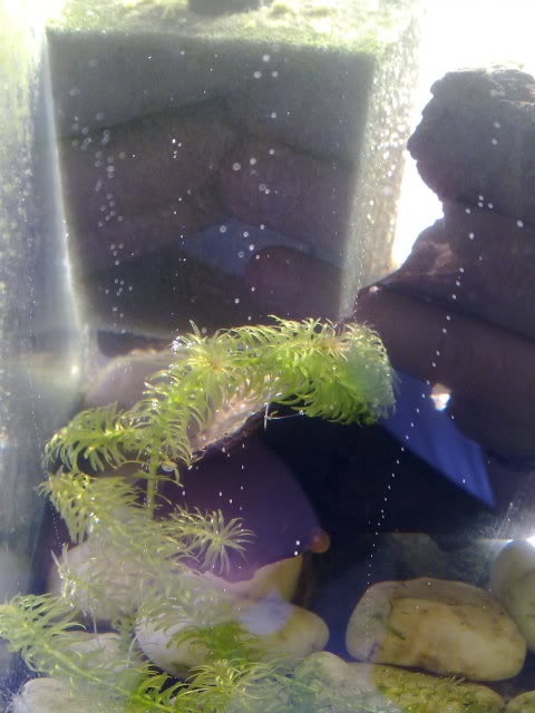 070320111321.jpg