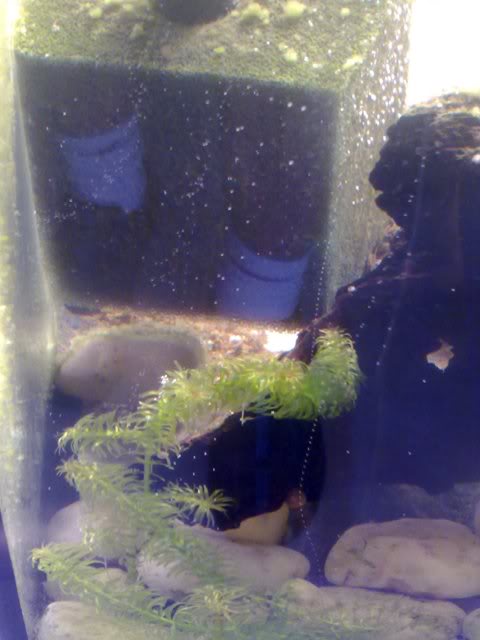 070320111322.jpg
