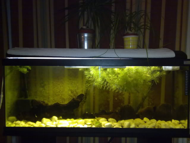 070320111325.jpg